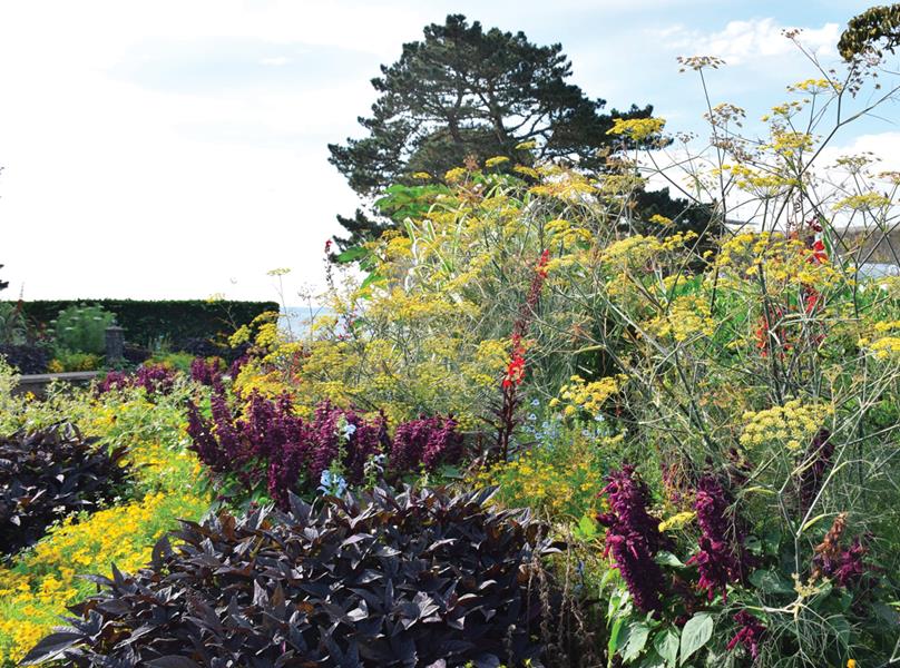 Brest : A l’ouest toute ! 