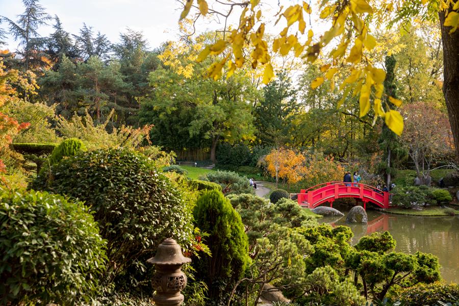 Un ailleurs à portée de pas