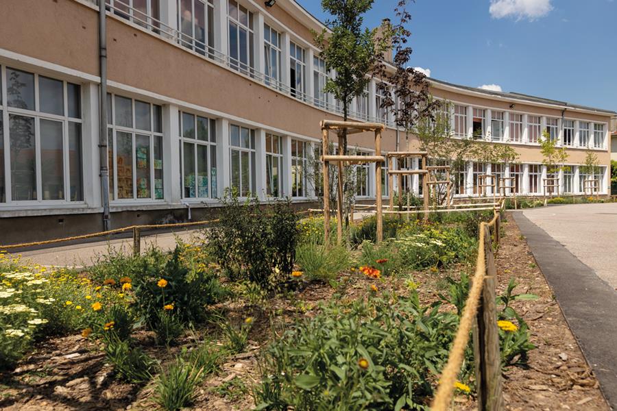 Lunéville : Cours d’école fleuries