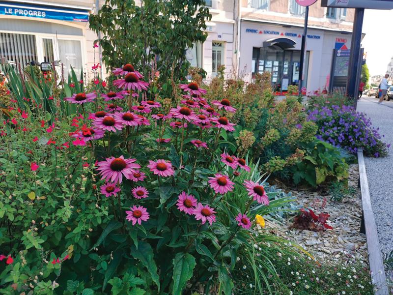 Bourg-en-Bresse : Bal coloré