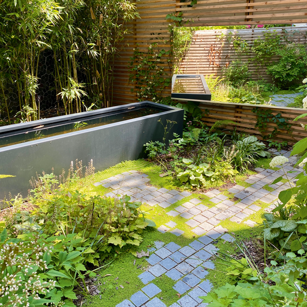 Un micro-jardin parisien avec Kévin Clare