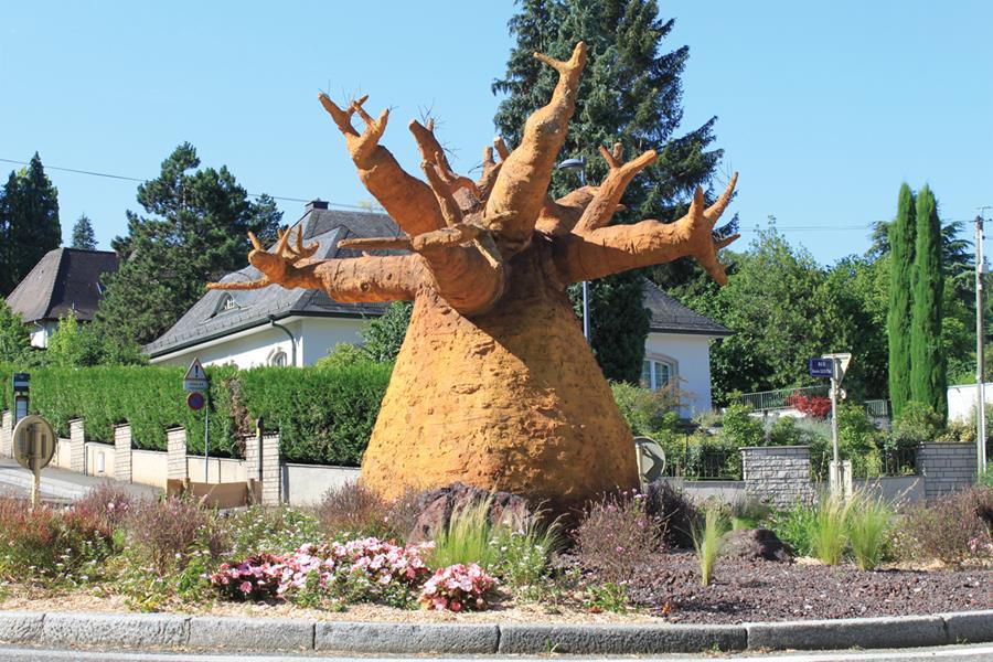 Mulhouse : Le baobab, l’arbre du pharmacien