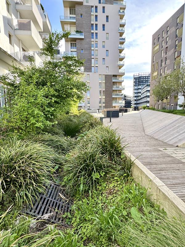 Gérer l’eau pour limiter les inondations, quelles stratégies d’aménagement ?