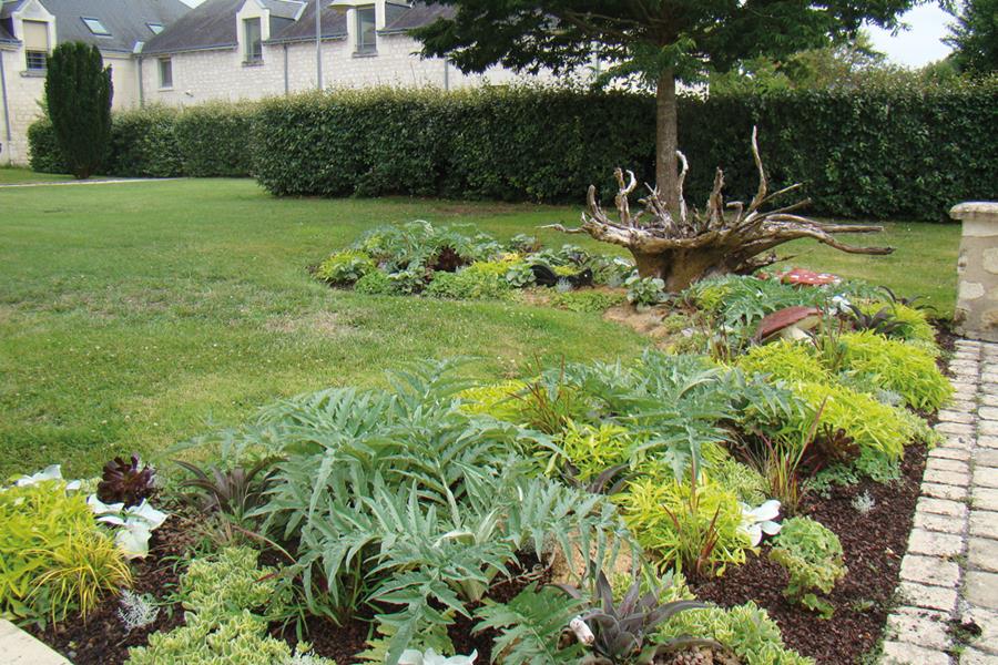 Avoine : Tout en feuillage