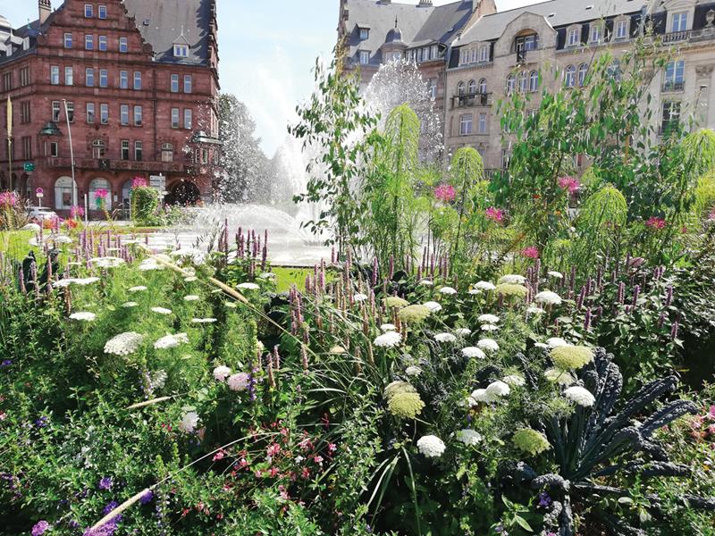 Metz : Déferlante fleurie