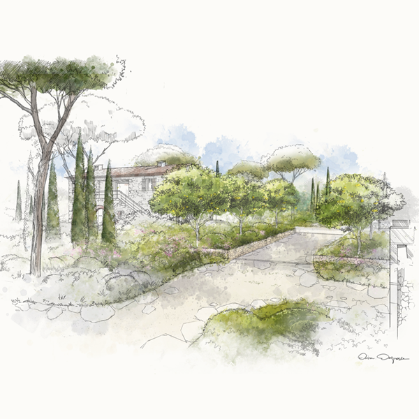 Un jardin de pinède avec l’Agence Oliva & Degroise