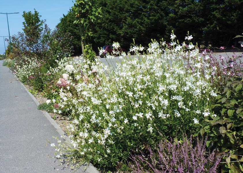 Roscoff : Rhythm and Blues