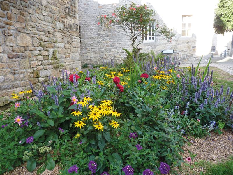 Roscoff : La soif du vert !