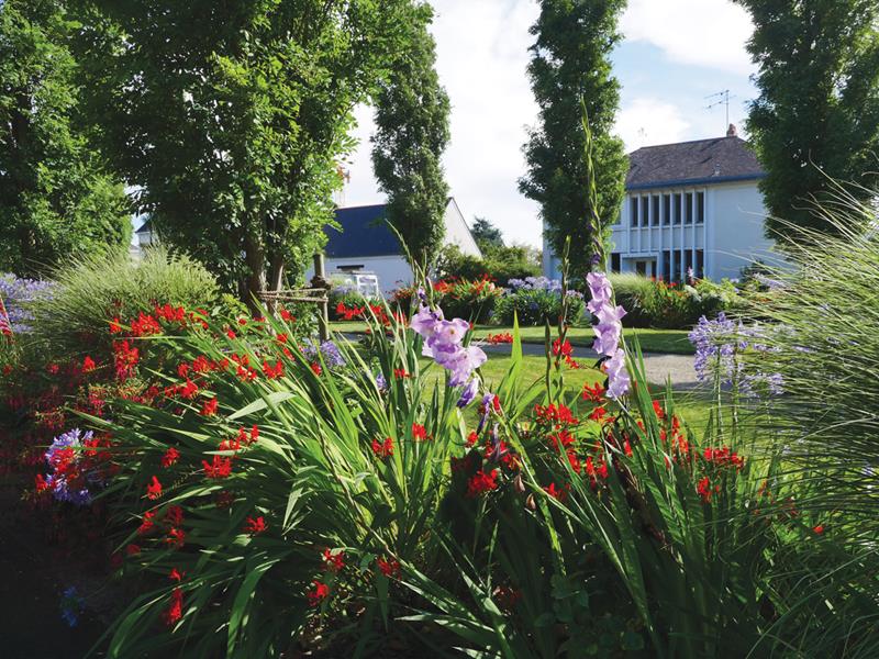 Sainte-Gemmes-sur-Loire : Perspective végétale