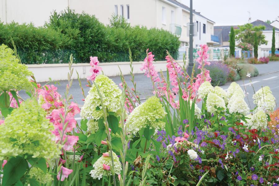 Sainte-Gemmes-sur-Loire : En parfaite harmonie