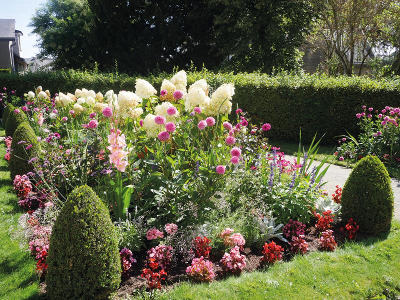 Sainte-Gemmes-sur-Loire : Un jardin haut en couleurs