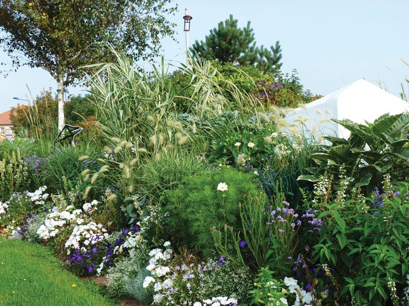 Calais : Une banquise en pleine Manche