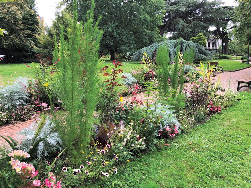 Vélizy-Villacoublay : Lie-de-vin et jaune citron