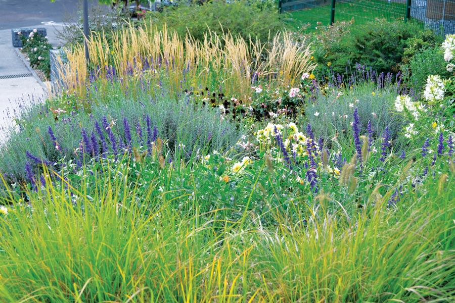 Saint-Galmier : Paysage en mouvement