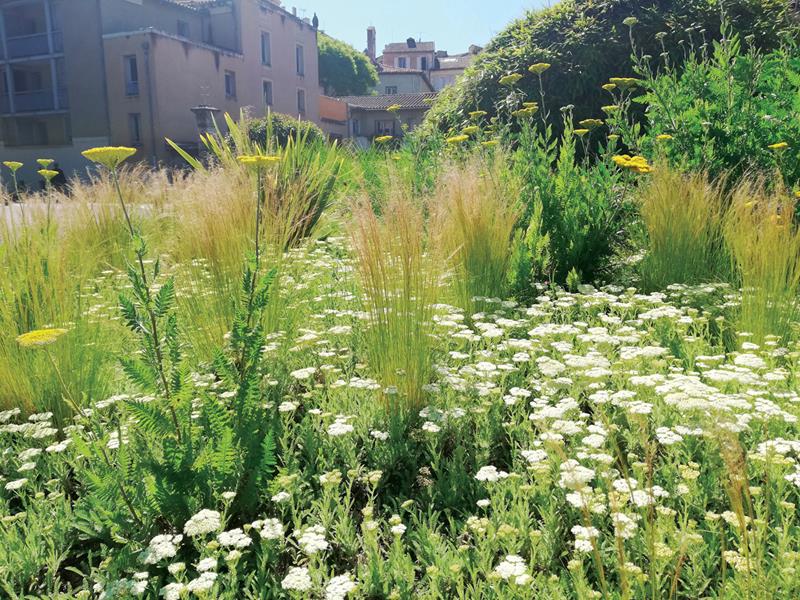 Auch : L’île des lilliputiens
