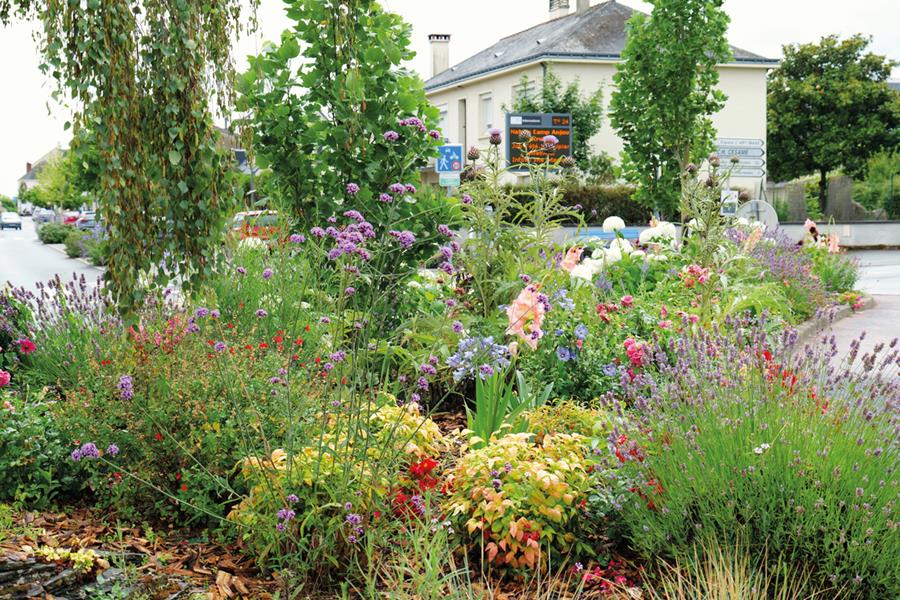 Sainte-Gemmes-sur-Loire : Fleurir sur le haricot !