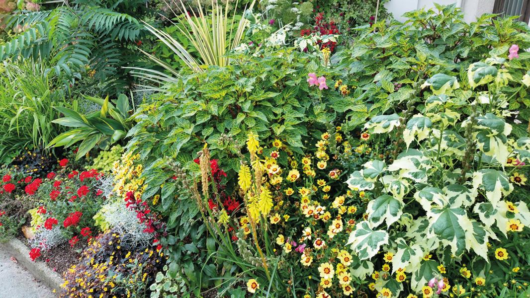 Sainte-Adresse, ¡ Ay, caramba ! 