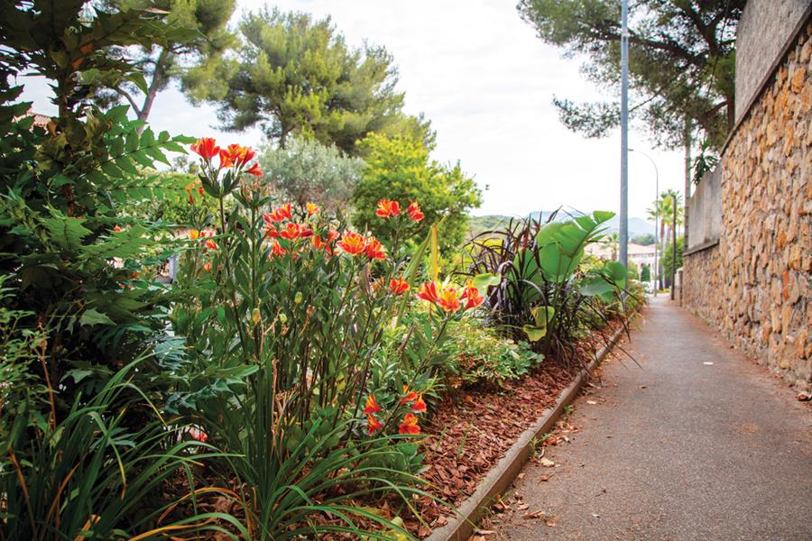 Sanary-sur-Mer : Sur la Corniche du soleil