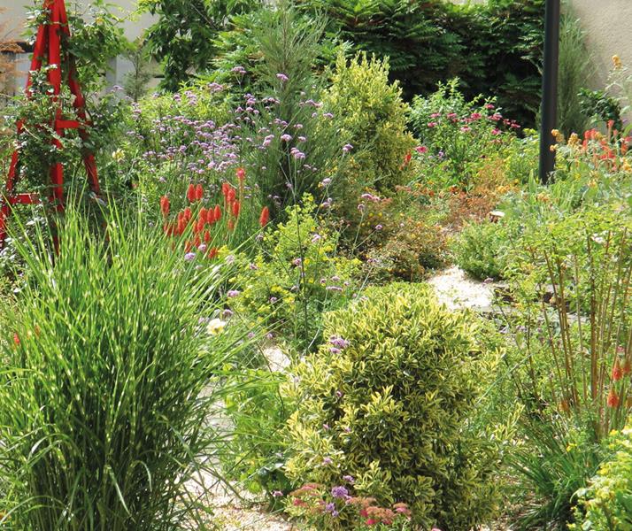 Reims : Des arbustes pour structurer, des vivaces pour colorer