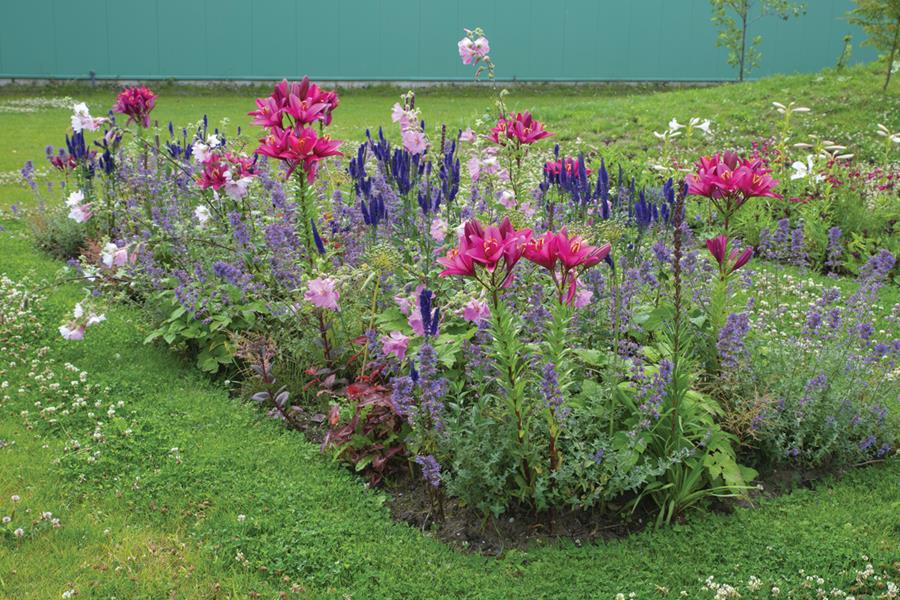 Verver export : Un bal coloré toute l’année ! 