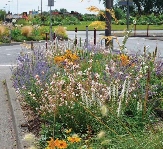 Calais : Plumes, étoiles et tisons